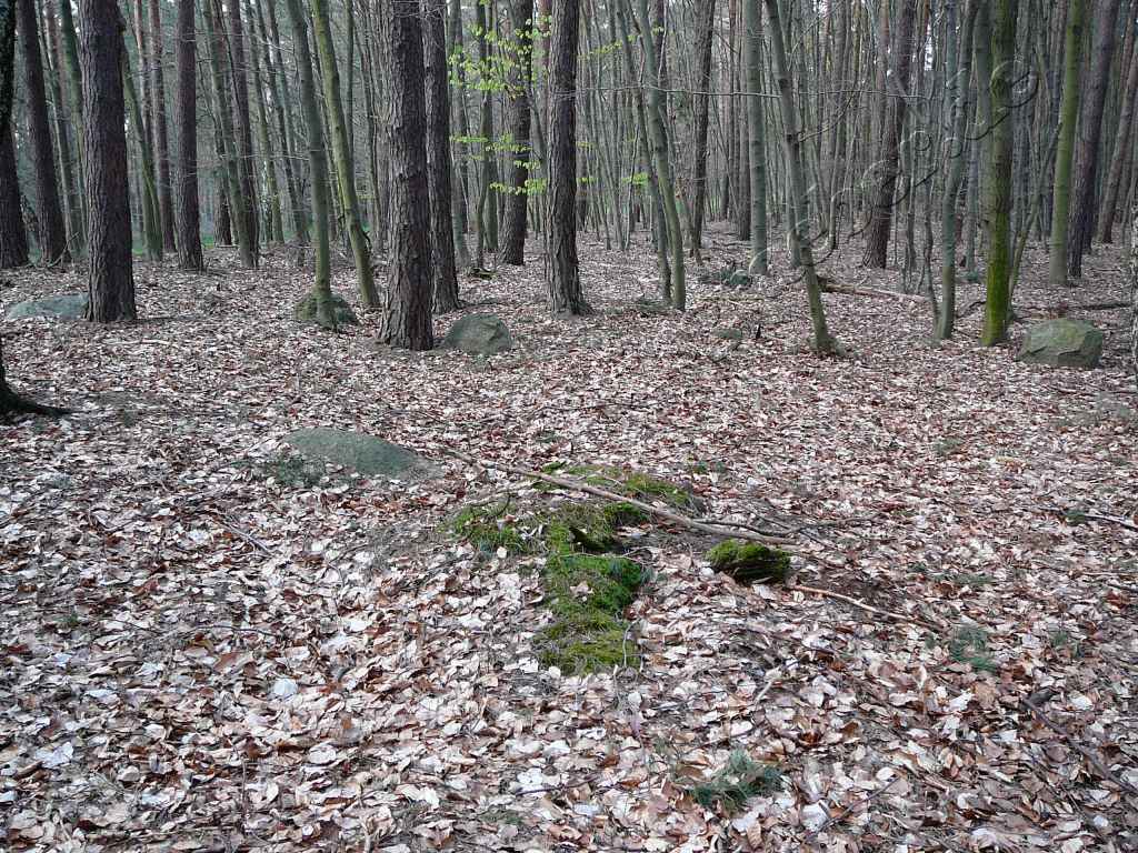 Großsteingrab NHA 9
